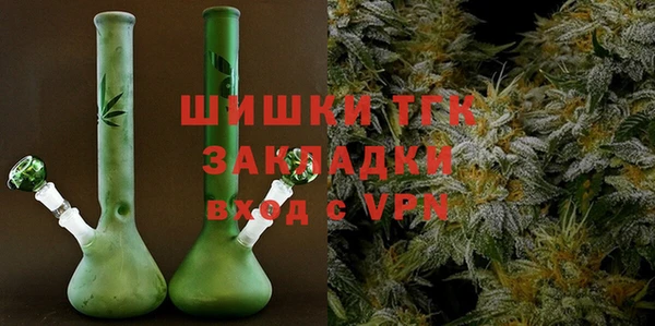 эйфоретик Арсеньев